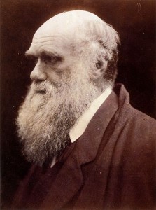 446px-Charles_Darwin_by_Julia_Margaret_Cameron_3